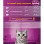 Упаковка влажного корма для котов Whiskas TastyMix Ягненок, Курица, Морковь 28х85 г (4770608262587): Тип Влажный корм