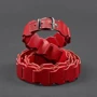 Женский ремень BlankNote Saffiano красный (BN-BELT-1-bw-red): Ширина ремня Средняя