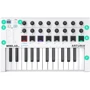 MIDI-клавиатура Arturia Minilab MKII Black Edition + Arturia Analog Lab V фото 8