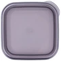 Контейнер для сыпучих Violet House 1.7 л (0299 Transparent Black): Тип один предмет