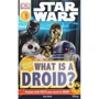 Star Wars. What is a Droid?