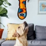 Іграшка-піщалка для собак Outward Hound Змія ХХL зелена (oh32005): Виробник Outward Hound