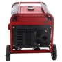 Генератор бензиновий Einhell TC-PG 55/E5: Тип запуску комбинированный