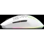 Мишка SteelSeries Aerox 3 Wireless Snow (SS62608): Тип сенсора оптический
