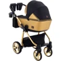 Универсальная коляска 2 в 1 Adamex Sierra Polar (Gold) SR403 черный - золотой кожа (перфорация): Пол ребенка мальчик, девочка