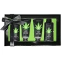 Набір для ванни та душу CBD Luxe Gift set - GREEN TEA & HEMP OIL (4 предмети)