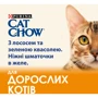 Влажный корм Cat Chow Adult для взрослых котов кусочки в желе с лососем и зеленой фасолью 5x85 г (7613036938310): Вес упаковки 0.425 кг