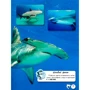 Світ довкола нас. Акулі. Фотоенциклопедія: ISBN 978-966-936-914-7