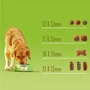 Сухий корм Friskies для дорослих собак з куркою та овочами 2.4 кг (7613034232168): Вік Взрослые