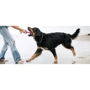 Игрушка для собак West Paw Drifty Large Surf/Дрифт кость морская волна 21.5 см (SF011SUR): Производитель West Paw