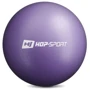 М'яч для фітнесу Hop-Sport 25cm HS-R025PB purple