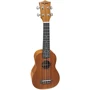Укулеле FZONE FZU110S Wood