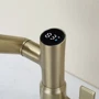 Смеситель для раковины Lefton Single-Hole Rotatable Faucet with Temperature Display-BF2204 Brushed Gold фото 10