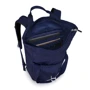 Рюкзак Рюкзак Osprey Arcane Tote Pack Deep Fig Purple 20л синий (009.001.0134): Цвет синий