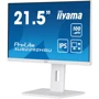 Монитор Iiyama ProLite XUB2292HSU-W6: Формат изображения 16:9
