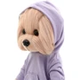Набор одежды Orange Lucky Dog Lucky Yoyo look Черное мороженое (L080) фото 1