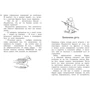 Все о медвежонке Паддингтоне. Новые небывалые истории: Обложка Твердая