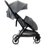 Коляска прогулочная Babyhit Colibri Ash Grey: Возможность установки люльки нет