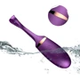 Виброяйцо с пультом ДУ - Vibrating Silicone Love EGG USB, BS6300002