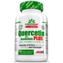 Amix GreenDay ProVegan Quercetin with Bromelain Plus Кверцетин и Бромелайн 120 веганских капсул