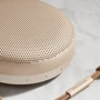 Акустика Bang & Olufsen Beosound A1 2nd Gen Gold Tone (1734008): Выходная мощность 30 Вт