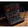 Синтезатор аналогового моделирования MOOG SPECTRAVOX: Тип Профессиональные