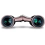 Бинокль Vanguard Vesta Compact 10x21 WP Rose Gold (Vesta 1021 Rose): Тип конструкции Roof