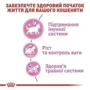 Сухой корм для стерилизованных котят Royal Canin Kitten Sterilised 3.5 кг (2562035): Класс Супер премиум