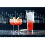 Набор для коктейлей LSA International Mixologist 22 предмета (G1456-00-187) фото 13