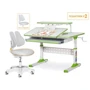 Комплект Парта Ergokids TH-320 Green + Кресло Evo-kids Mio Lite G (TH-320 W/Z + Y-208 G): Ширина столешницы, см 100