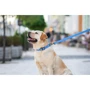 Поводок WAUDOG Waterproof, светящийся 25 мм 122 см голубой (27232): Вид Обычный