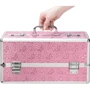 Кейс для хранения секс-игрушек BMS Factory PowerBullet - Large Lokable Vibrator Case Pink