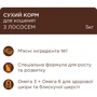 Сухий корм Club 4 Paws Premium for kittens з лососем для кошенят 5 кг (4820215369480): Тип Сухой корм