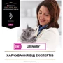 Сухой корм для котов Pro Plan Veterinary Diets UR Мочекаменная болезнь 350 г (7613035154216): Класс Супер премиум