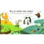 Lift-the-Flap First Questions and Answers Why Do Tigers Have Stripes? / Чому у тигрів є смуги?: Обложка Твердая