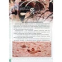 Про динозаврів. Енциклопедія для допитливих: ISBN 978-617-7316-62-5