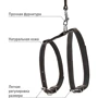 Шлей з повідцем Collar котяча шкіряна на планшеті 12 мм 22-30 см 122 см чорна (05461): Колір черный