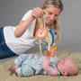 Развивающая игрушка-кубик Taf Toys Веселые зверушки Саванна (12755): Тип подвески