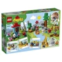 Конструктор LEGO DUPLO Животные мира (10907): Серия Lego Duplo