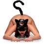 Ролевой БДСМ набор котаTailz Black Cat Tail Anal Plug & Mask Set