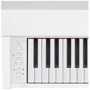Цифровое пианино CASIO AP-270WEC7: Тип клавиатуры Динамическая