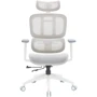 Офісне крісло OfficePro Skyline (OC680-W-LG-LG): Максимальне навантаження, кг 120