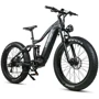 Електровелосипед SAMEBIKE RS-A08 (750 Вт, 17 А/год, 48 В), колеса 26", чорний: Ємність батареї, Втч 816