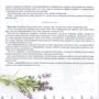 Ольга Метельська: Догляд за Шкірою: Обкладинка Тверда