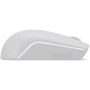 Мышь Lenovo 300 Wireless Mouse Arctic Gray (GY51L15678)