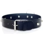 Нашийник із шипами Fetish Boss Series - Collar with studs (BS3300097)