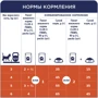 Влажный корм Club 4 Paws Premium Adult cats для кошек с ягненком в соусе 24х100 г (LT) (4820215364270): Класс Премиум