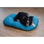 Лежак-Подушка Lucky Pet Морфей №1 бирюзовый 40x50 см (215402): Тип Лежак