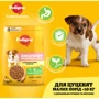 Сухой корм Pedigree для щенков малых пород с птицей и овощами 7кг (5998749145210): Возраст Щенки