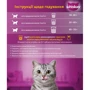 Сухой корм для кошек Whiskas с говядиной 800 г (5998749144145): Вес упаковки 800 г